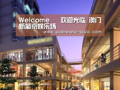 案例展示一
