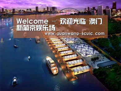 案例展示八