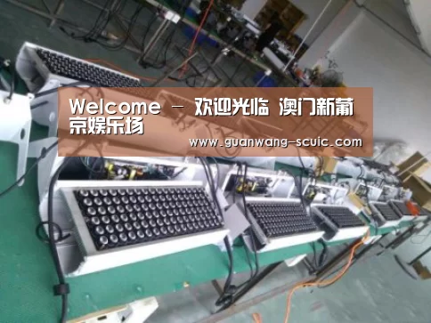产品名称七